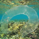 Микроорганизмы