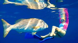 Очень любопытный Желтогубый император