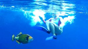 Агрессивный Титановый спинорог