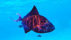 Краснозубый спинорог